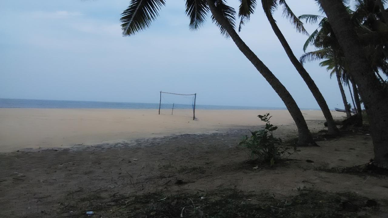 Marari Peace Homestay Mararikulam Zewnętrze zdjęcie