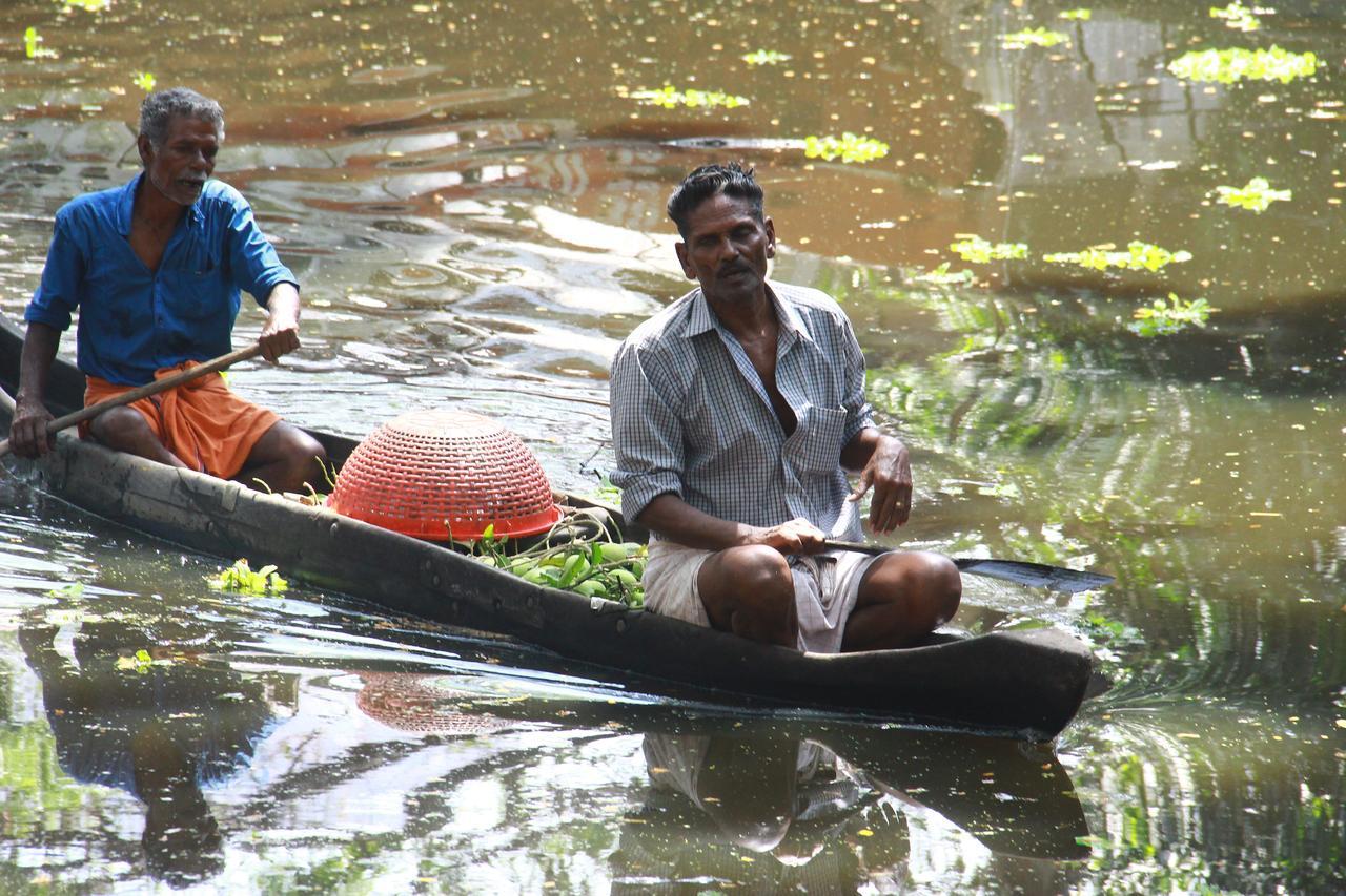 Marari Peace Homestay Mararikulam Zewnętrze zdjęcie