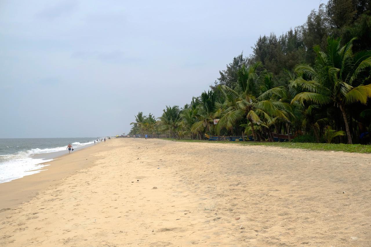 Marari Peace Homestay Mararikulam Zewnętrze zdjęcie